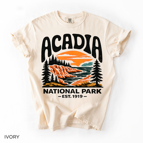 Acadia National Park T-Shirt - Comfort Colors garment-dyed unisex tee, scenic coastal sunset graphic