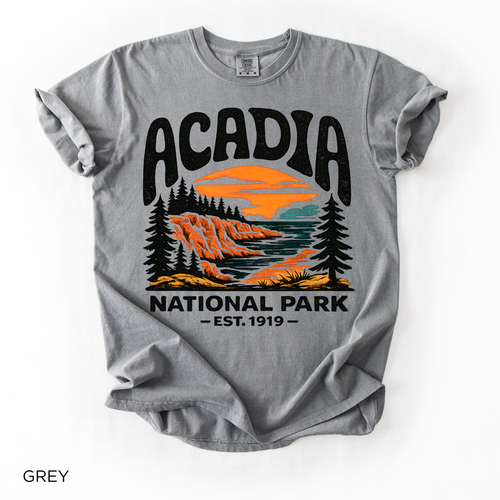 Acadia National Park T-Shirt - Comfort Colors garment-dyed unisex tee, scenic coastal sunset graphic