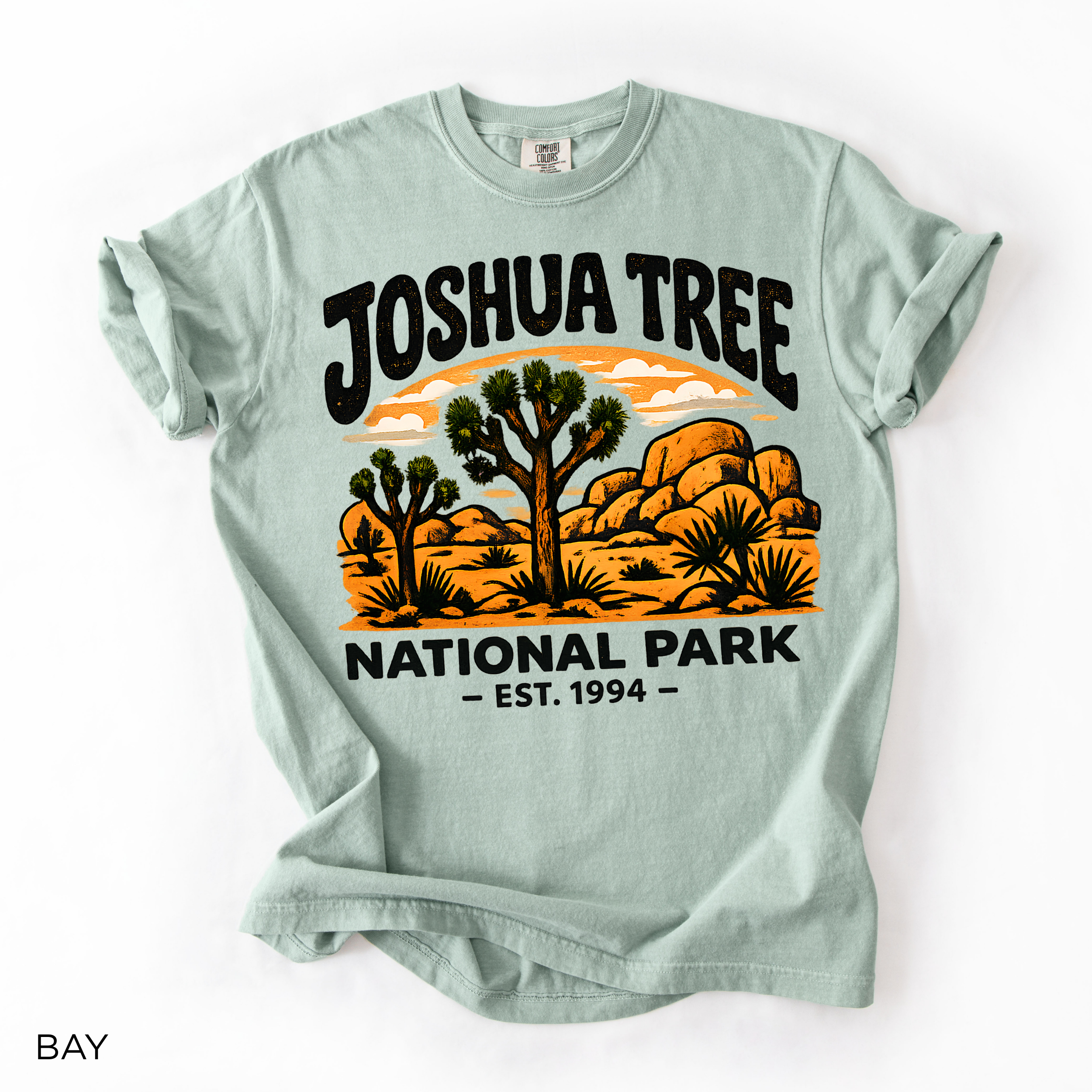 Joshua Tree National Park T-Shirt — Vintage Desert Landscape Tee
